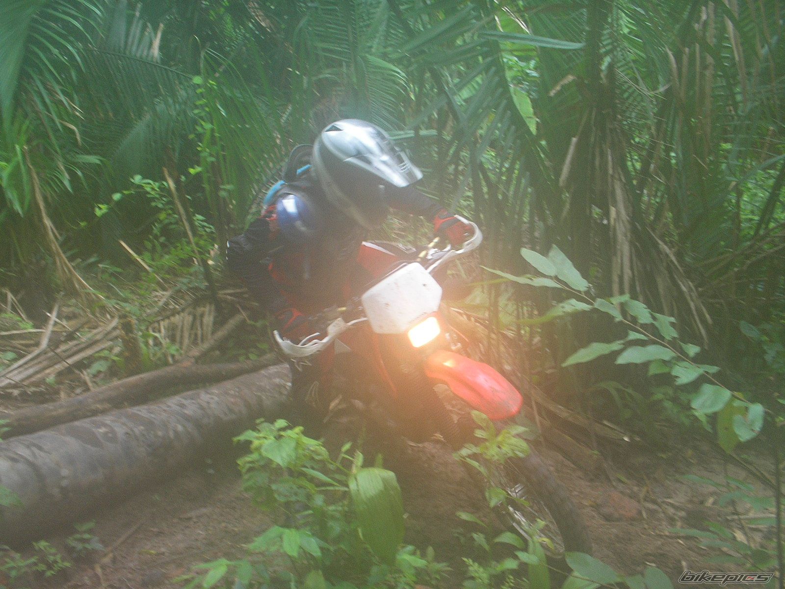 Photo 826942