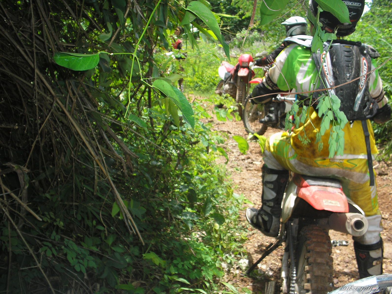 Bike Photo 826950