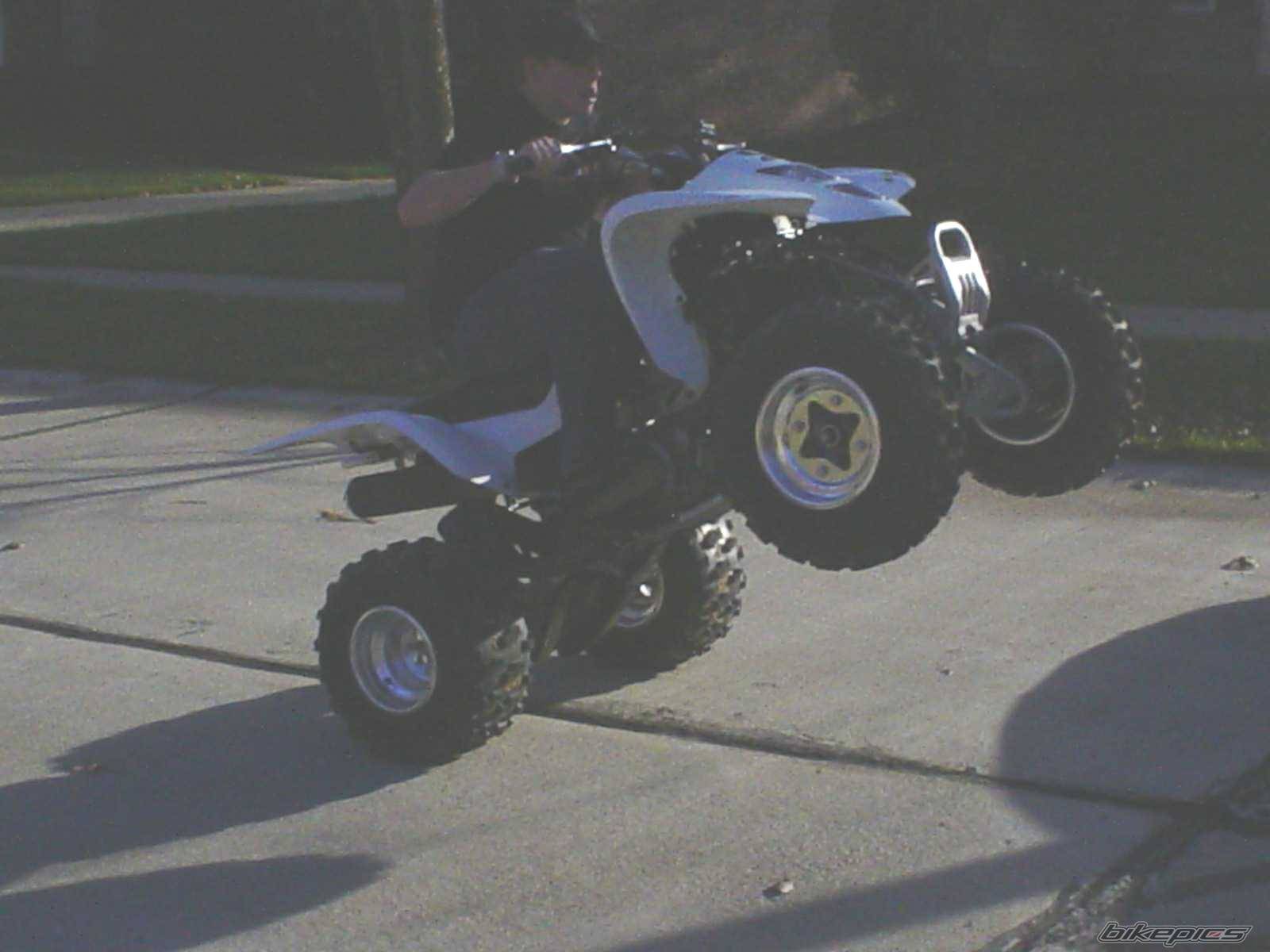 Photo 82727