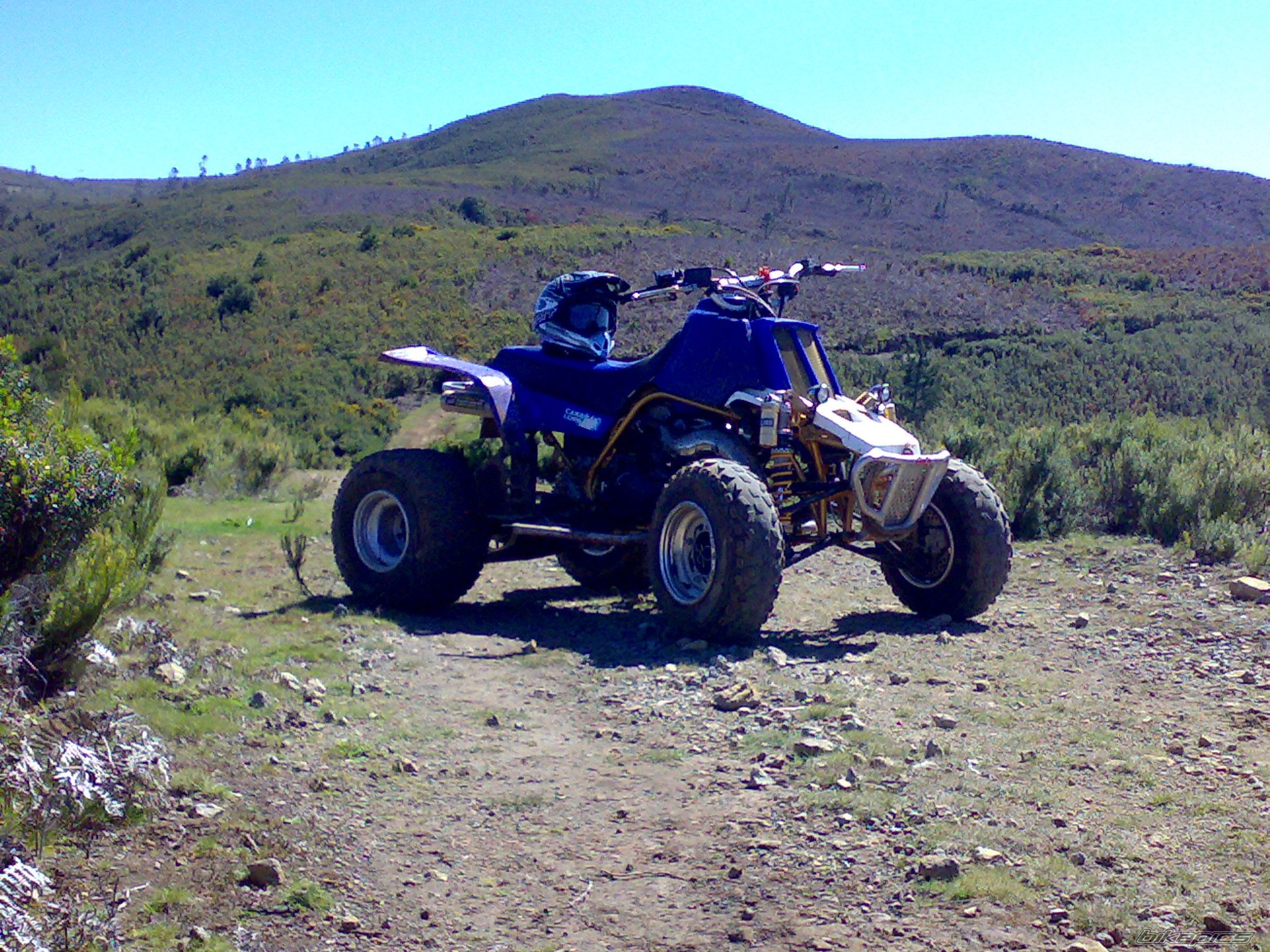 Photo 827556