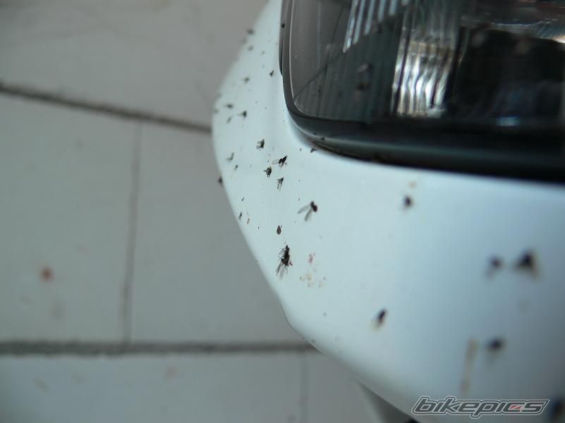 Photo 827879