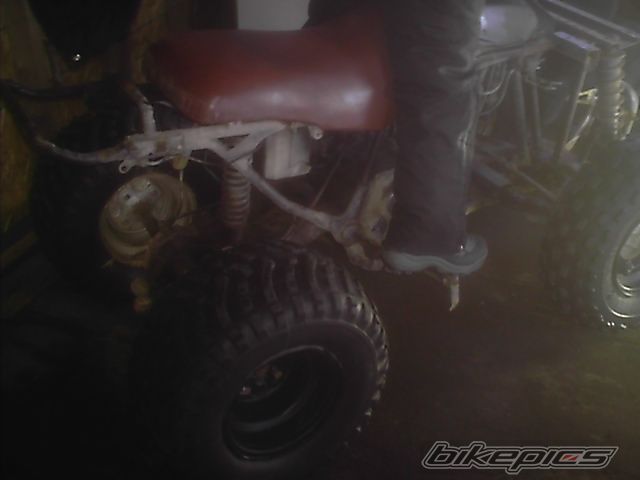 Photo 828022