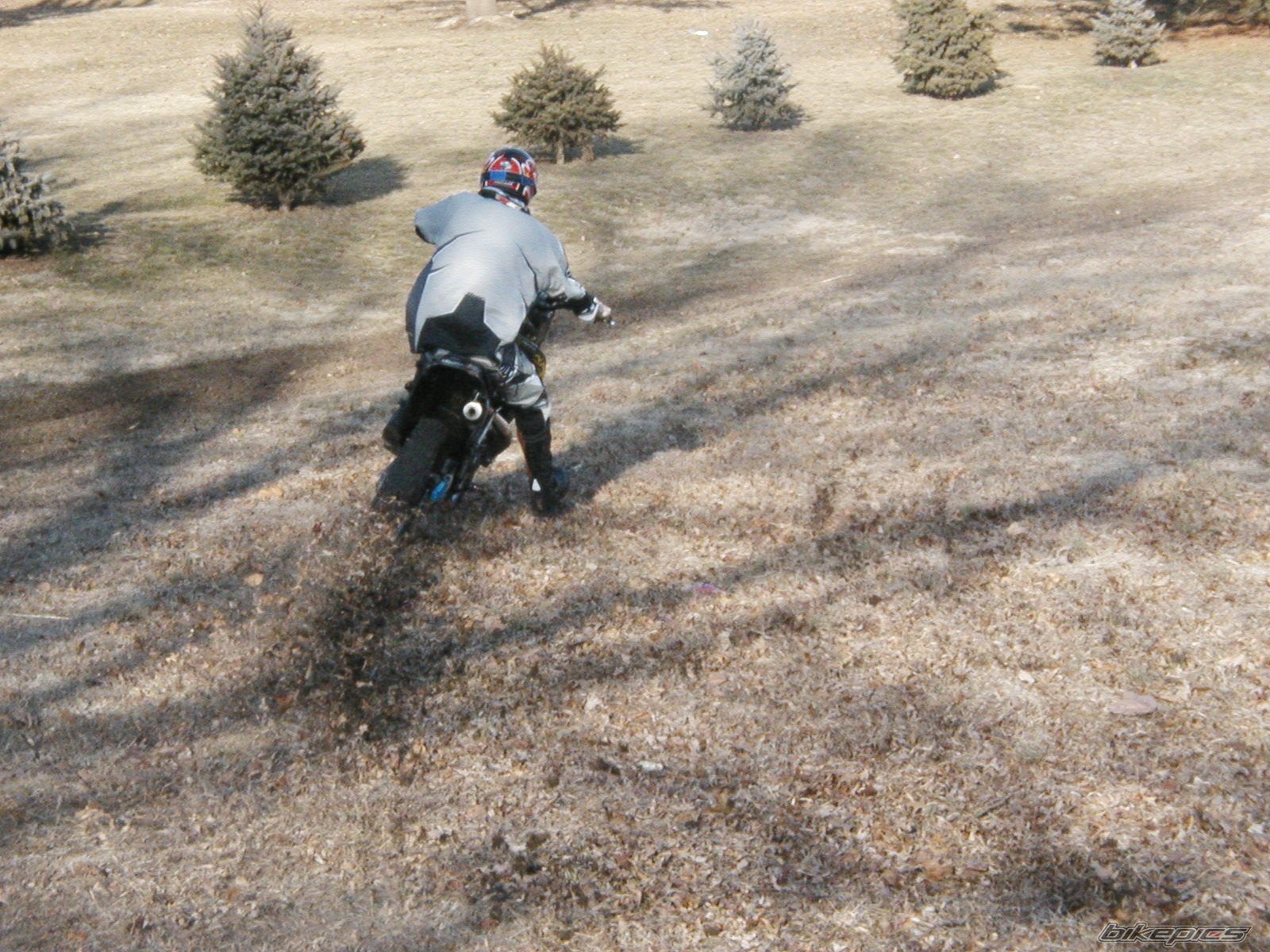 Photo 828094