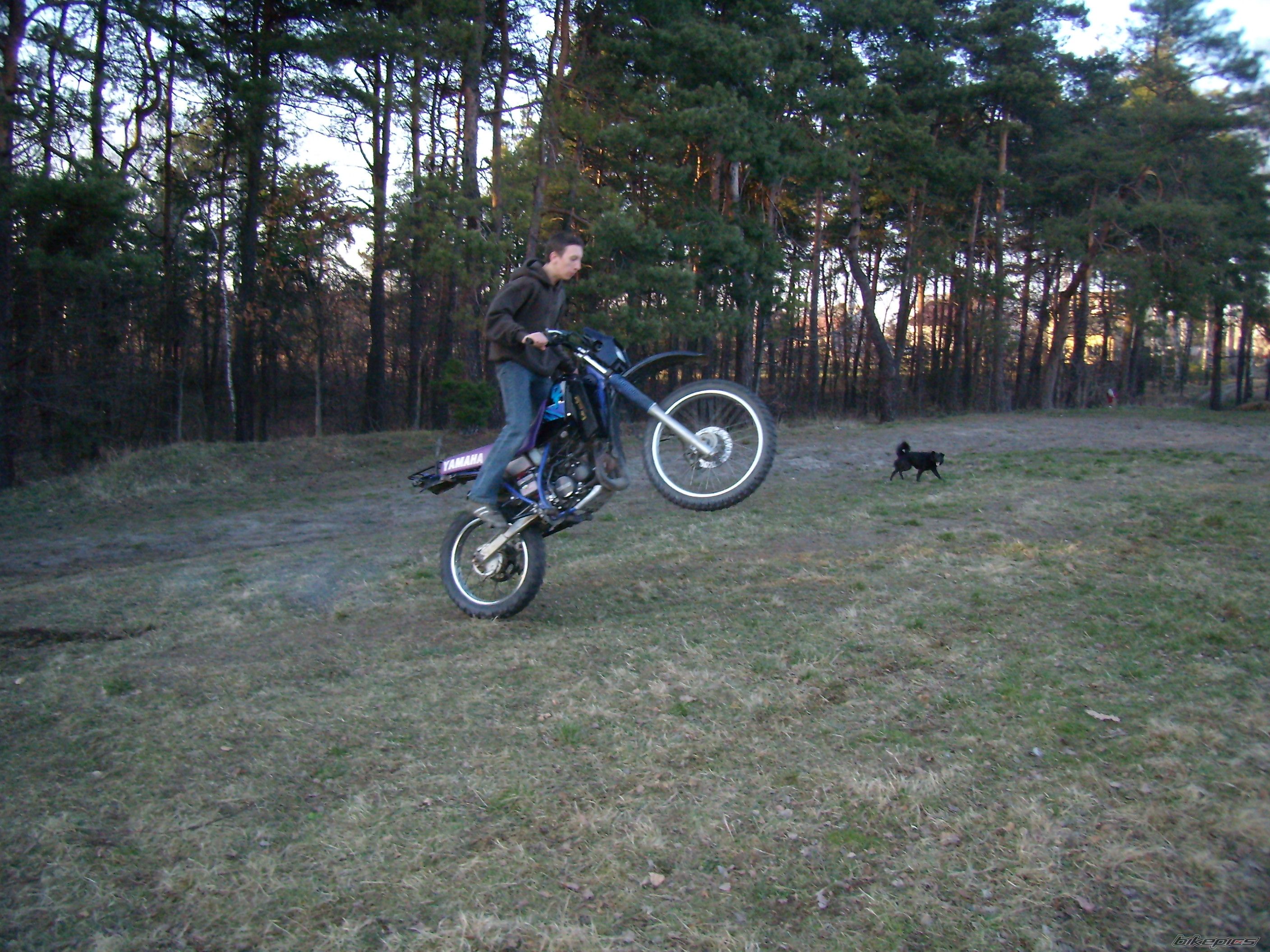 Bike Photo 828543