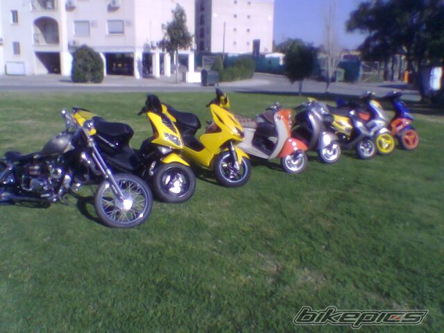 Photo 828813