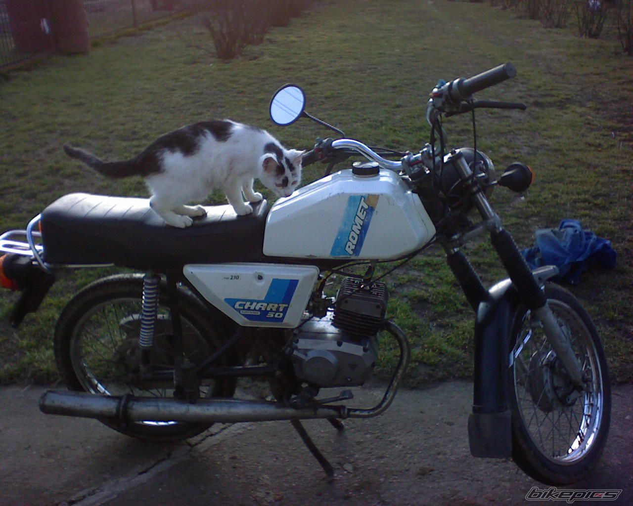 Bike Photo 829541