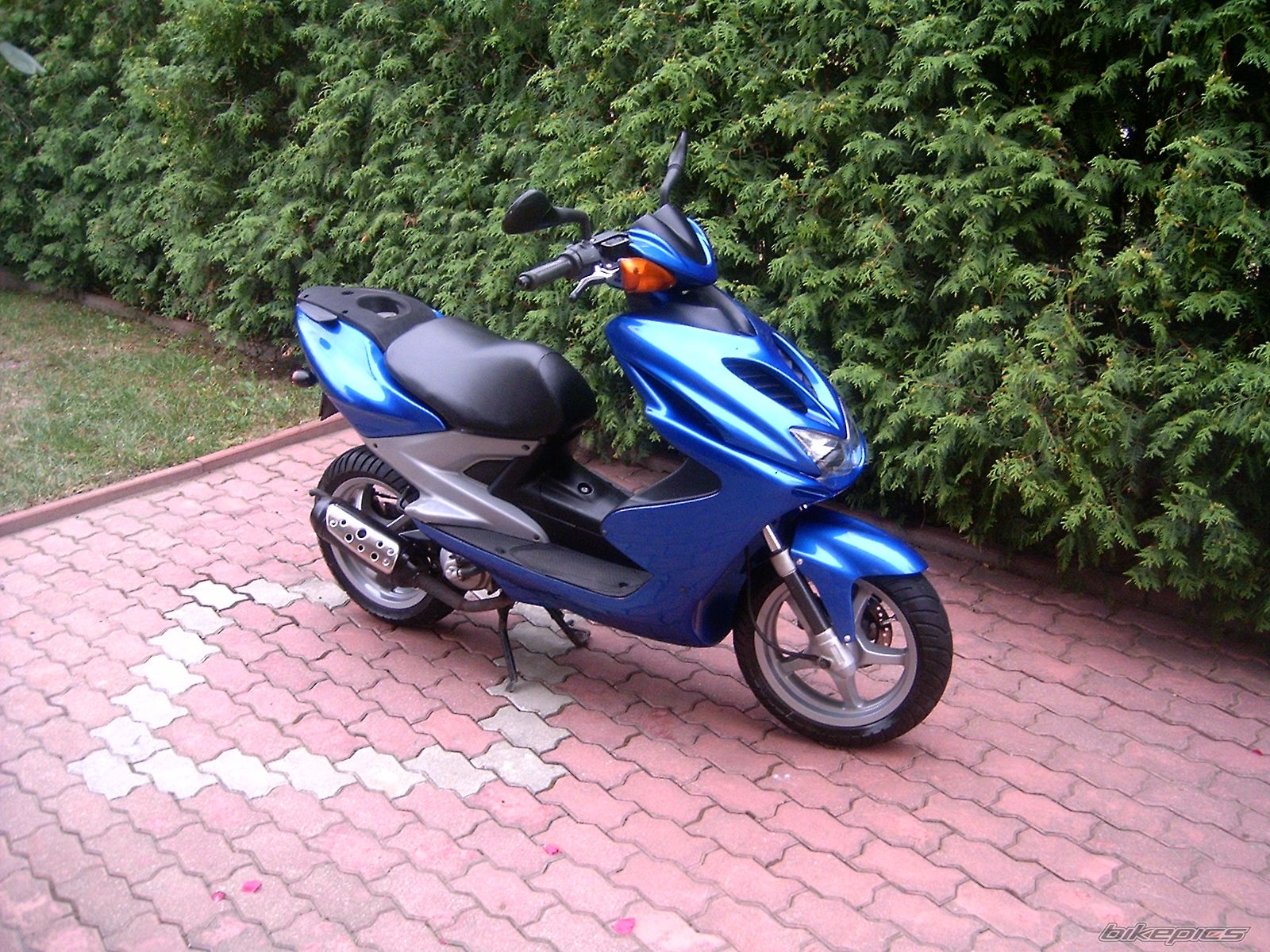 Photo 829768