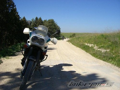 Photo 830049