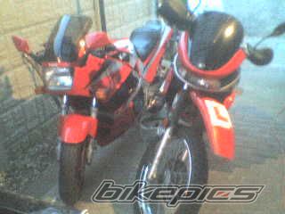Photo 830061