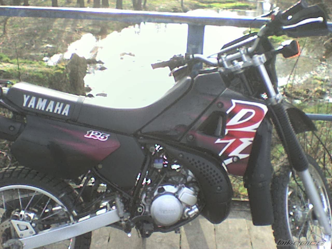 Photo 830174