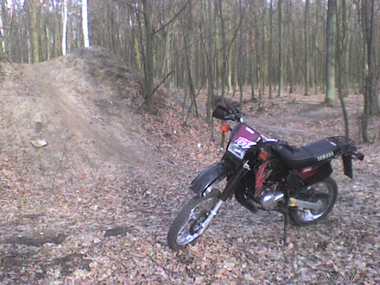 Photo 830181
