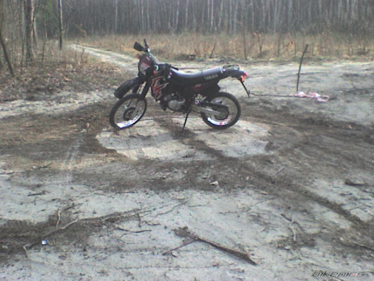 Photo 830183