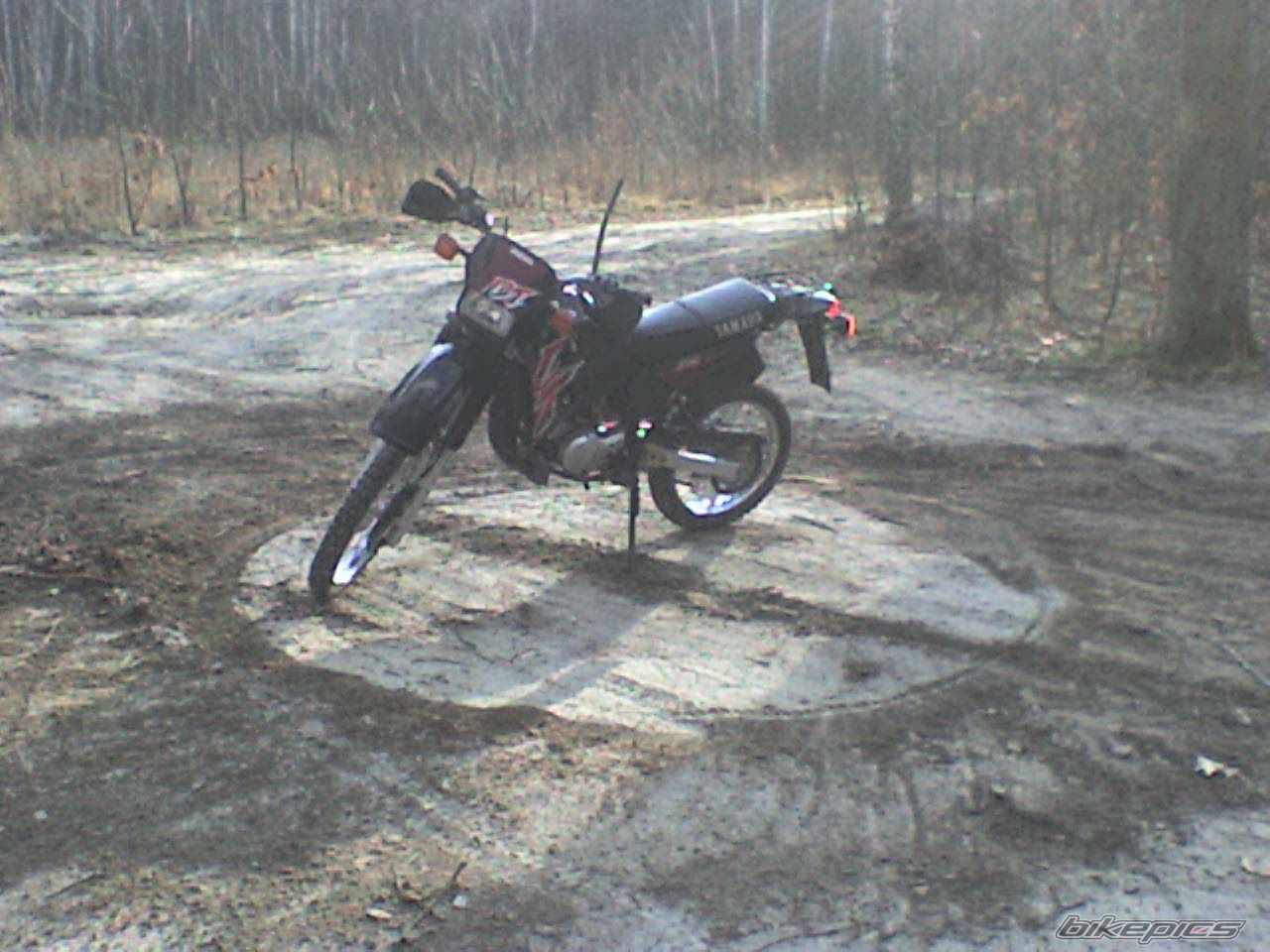 Photo 830188