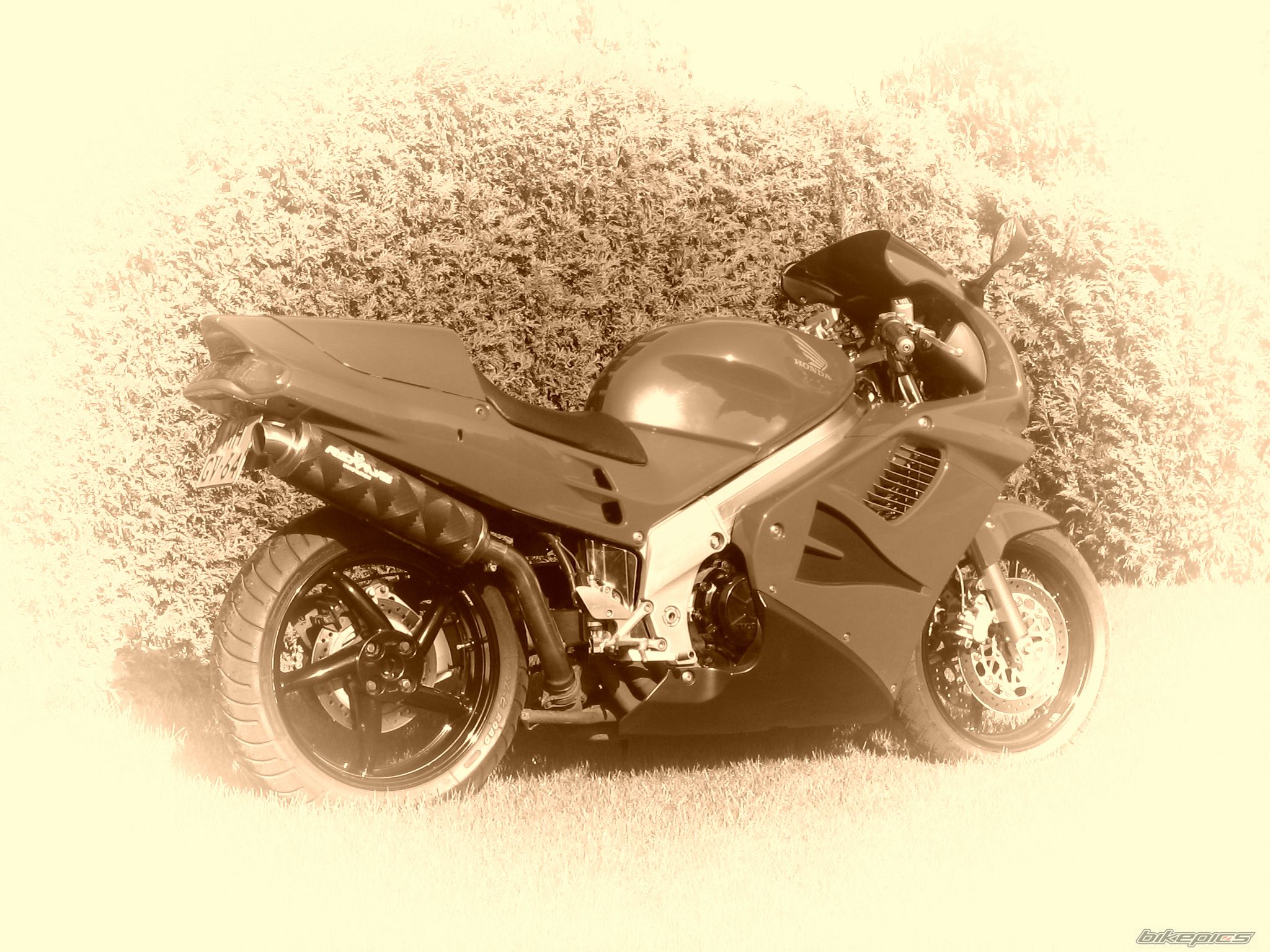 Photo 830234