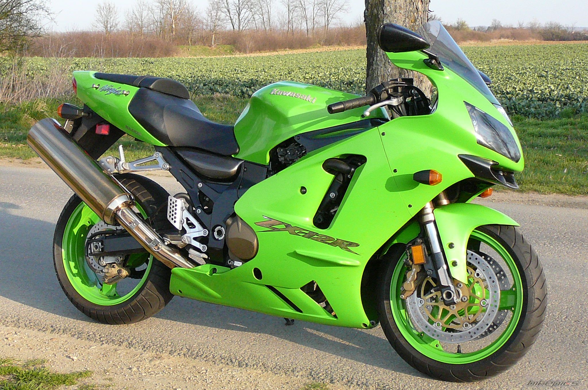 Bike Photo 830256