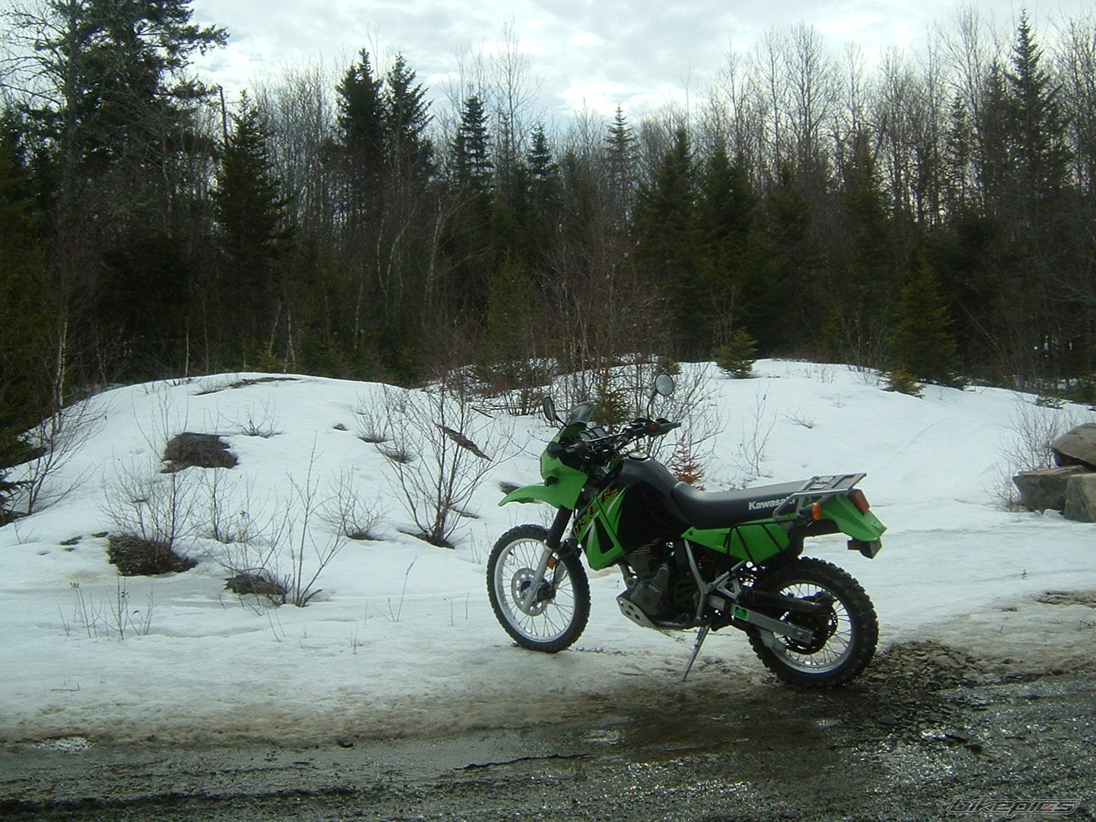 Photo 830539
