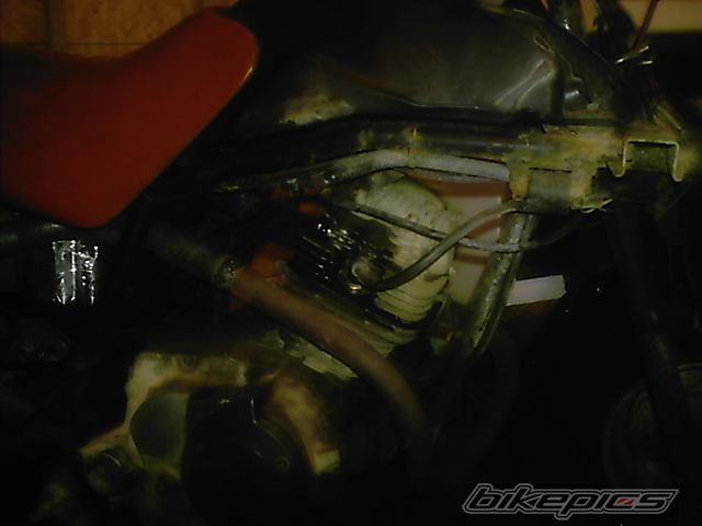 Photo 830608