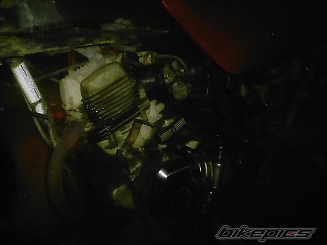 Bike Photo 830610