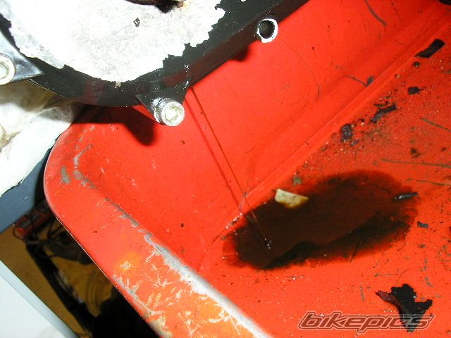 Photo 831269