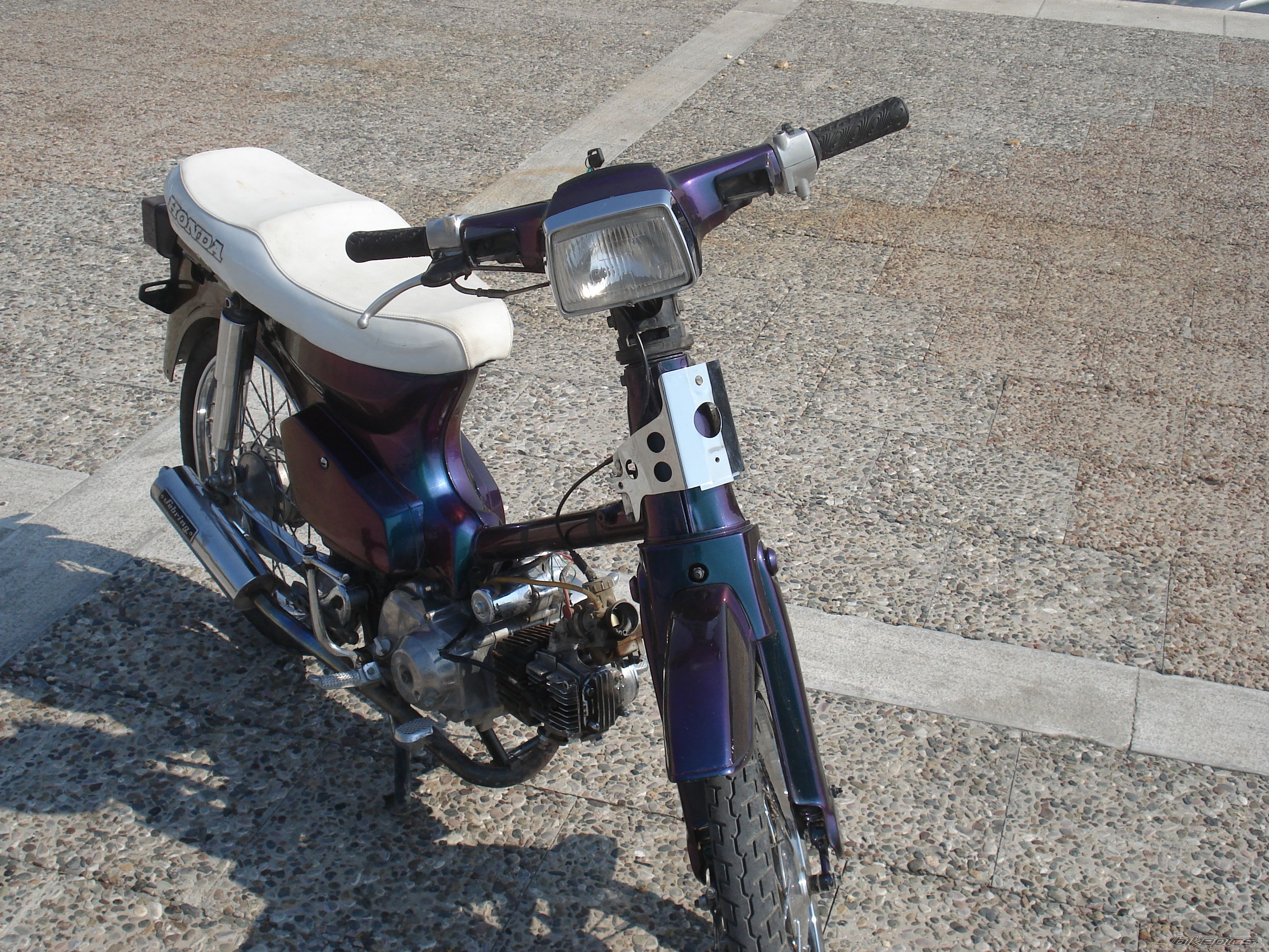 Photo 831382