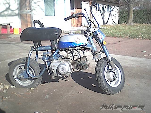 Photo 83178