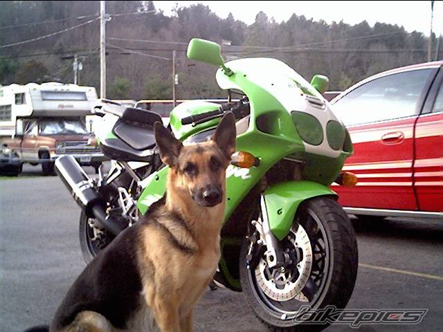 Bike Photo 83188