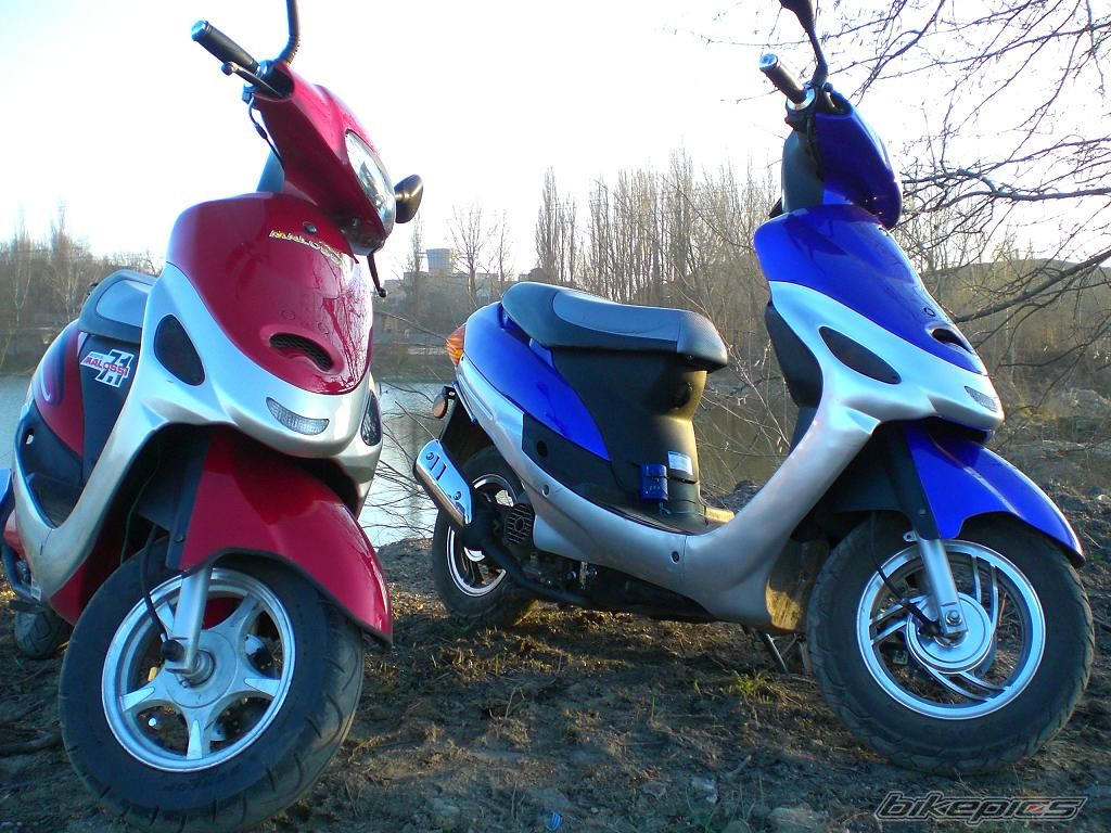 Photo 832211