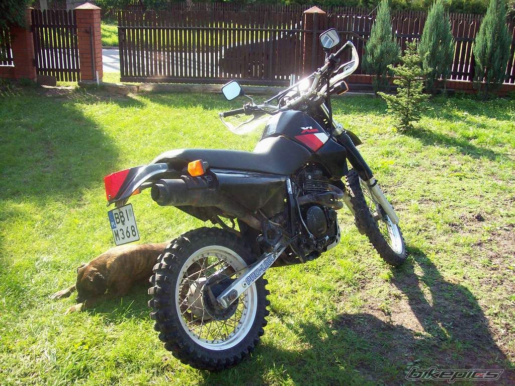 Bike Photo 832436