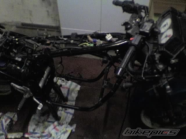 Photo 832549