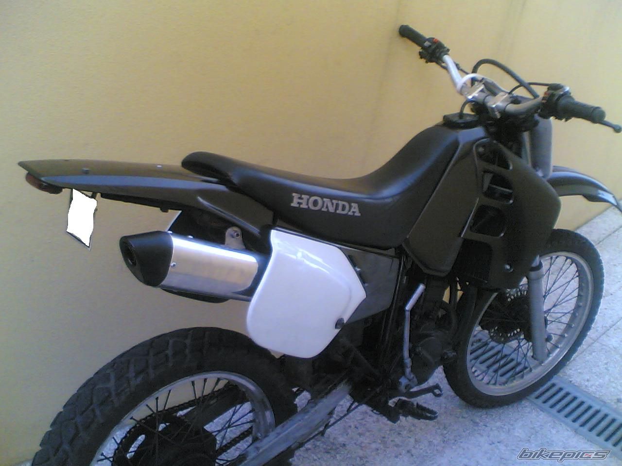 Photo 833100