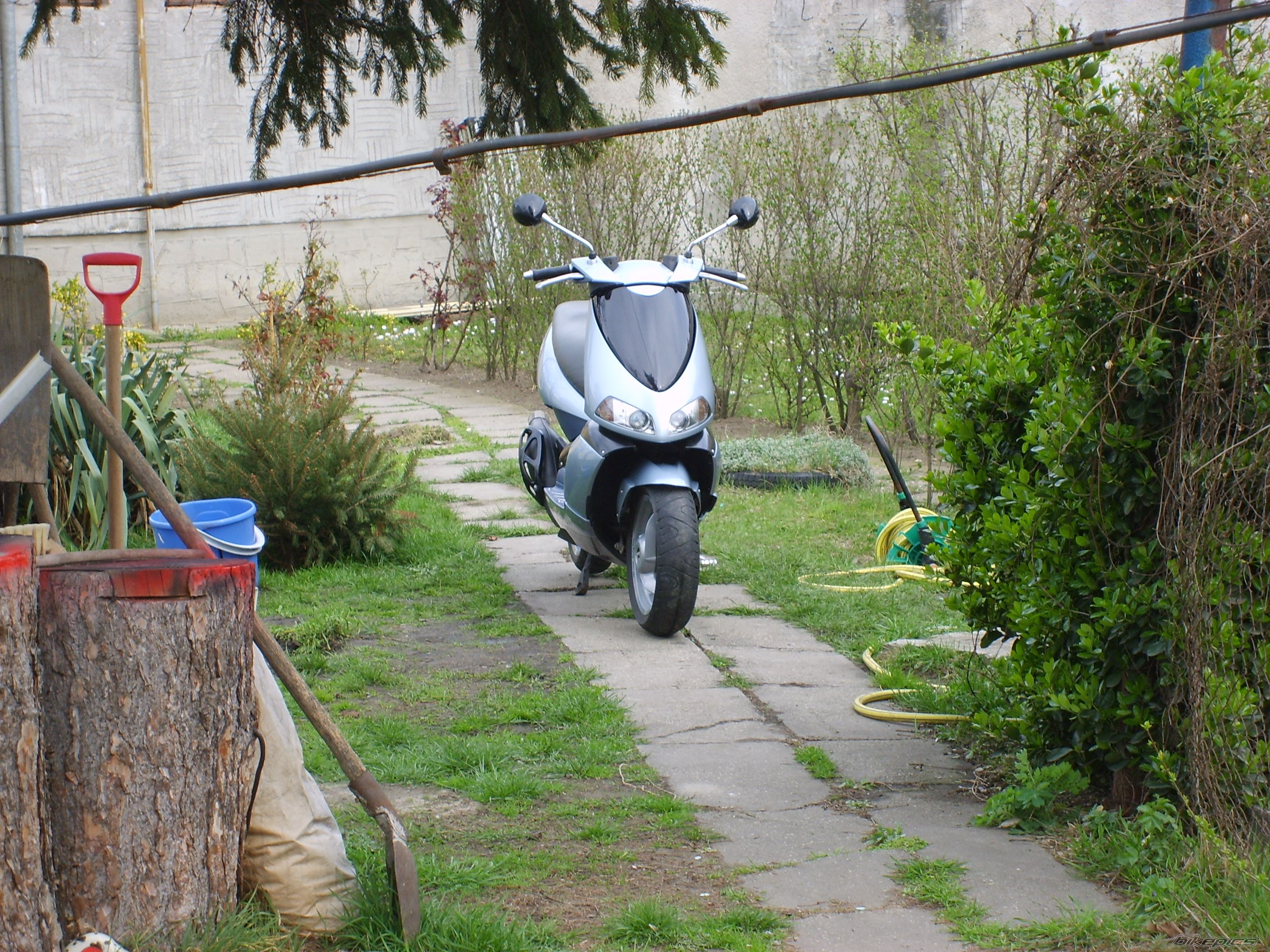 Photo 833178