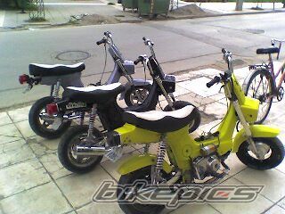 Photo 833192