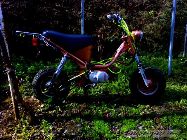 Photo 833286