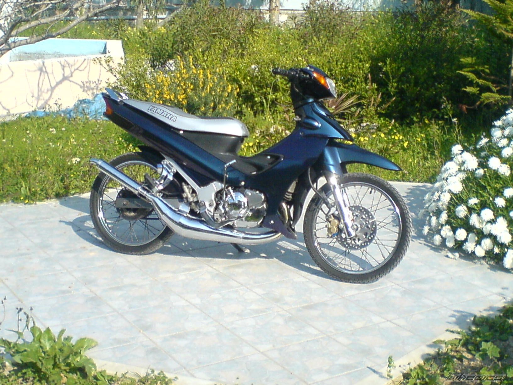 Photo 833412