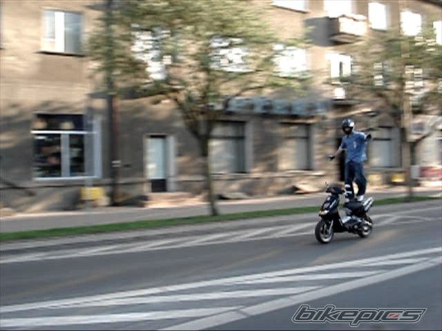Photo 833431