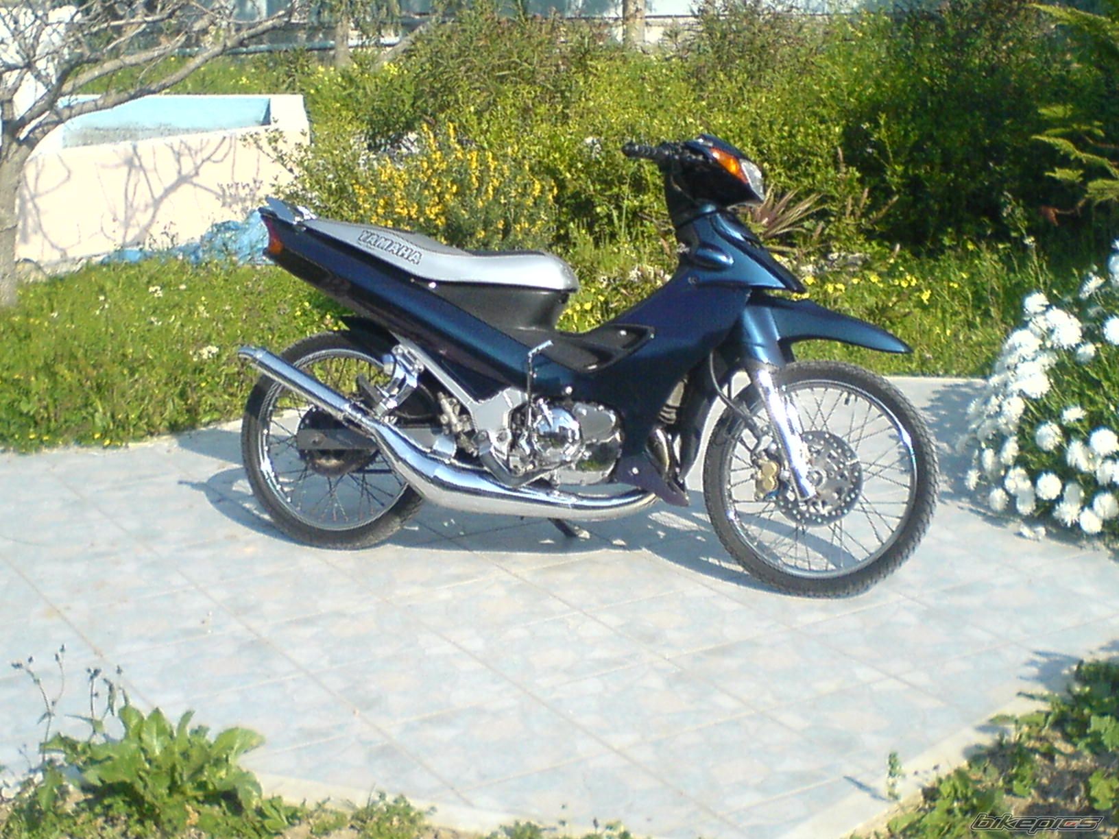 Photo 833439