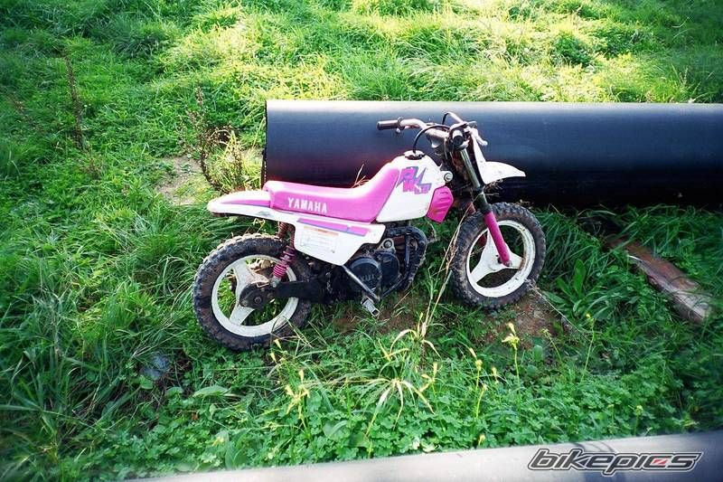 Photo 833446