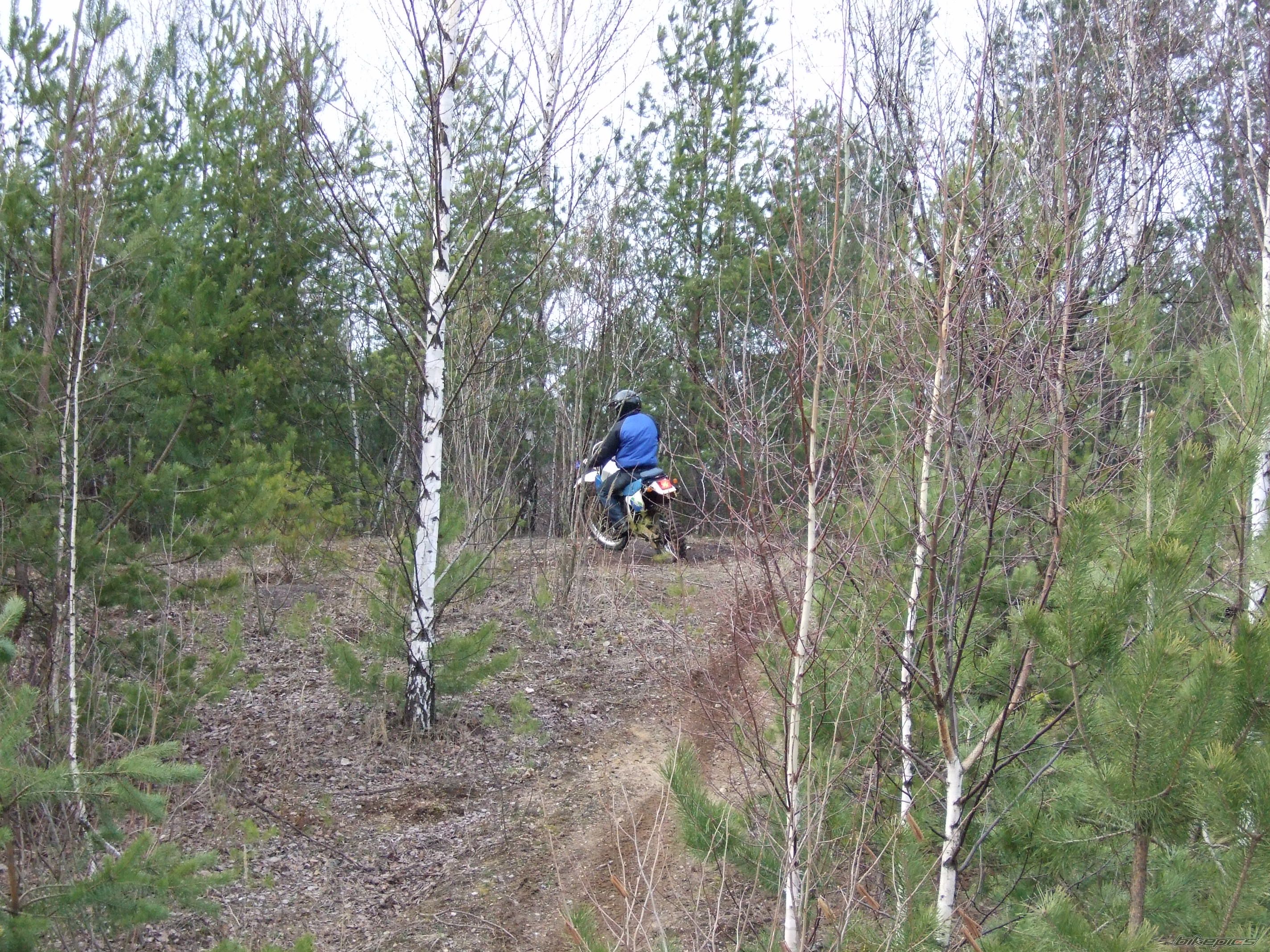 Photo 833685