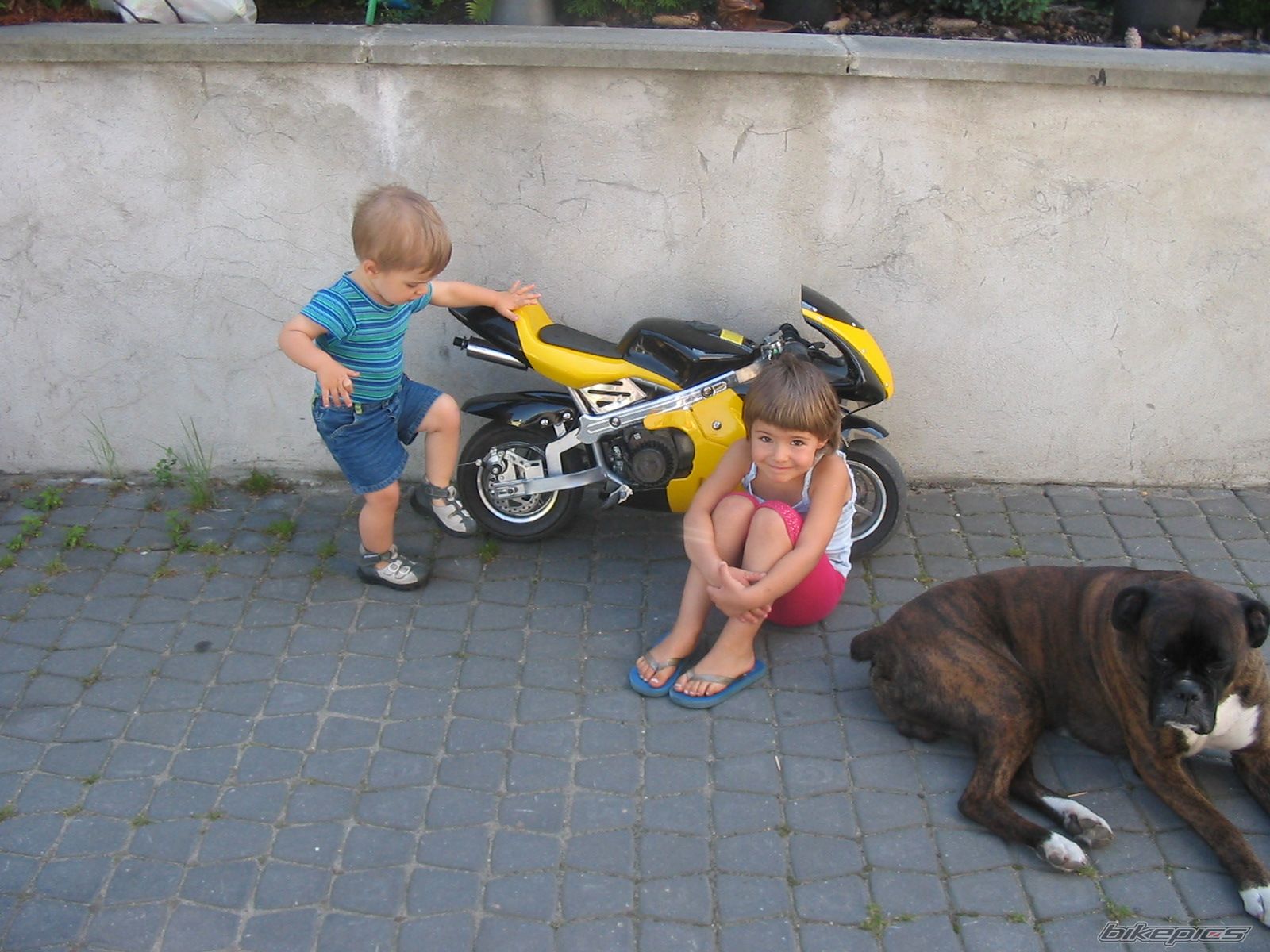 Photo 833697
