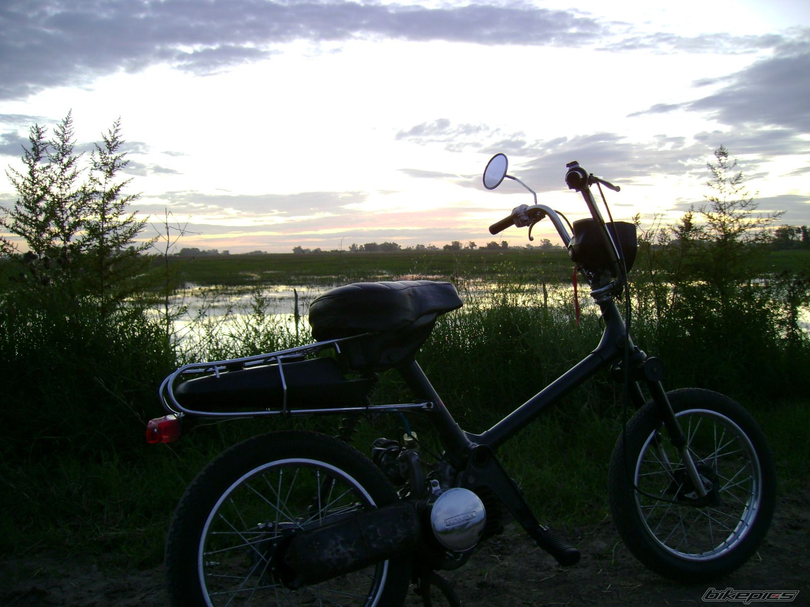 Photo 833722