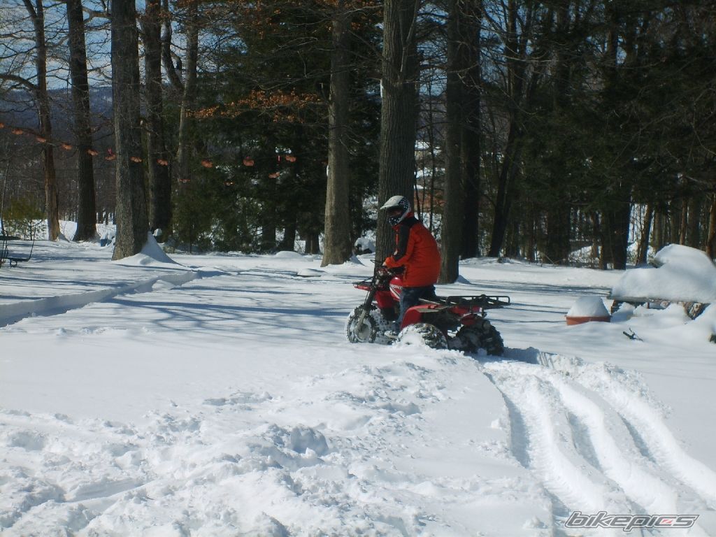 Photo 833728