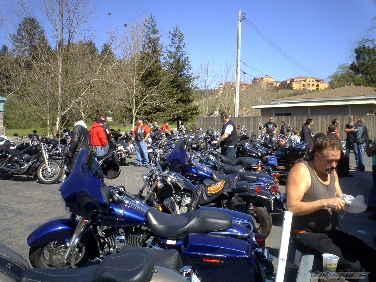 Photo 833773