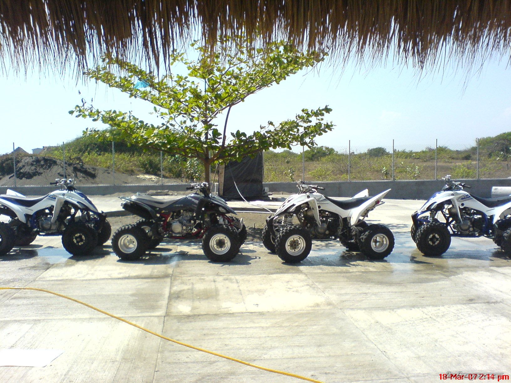 Photo 833972