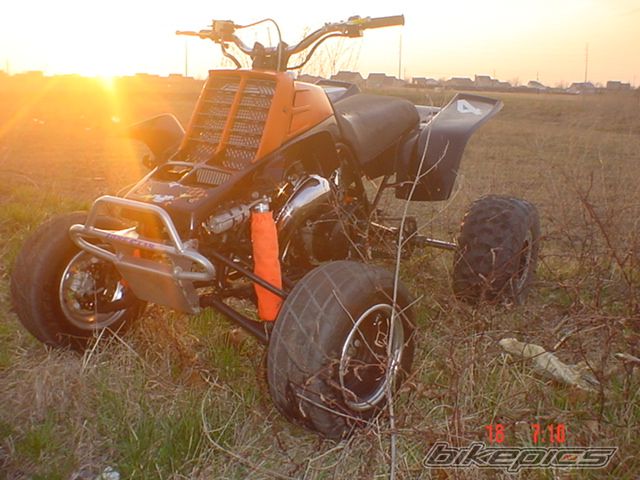 Photo 834141
