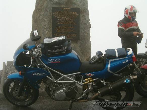 Photo 83431