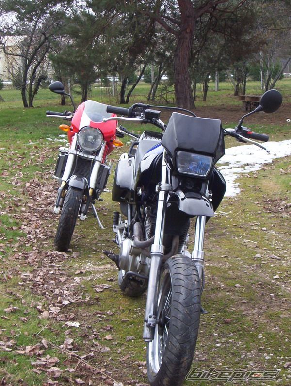 Photo 834429