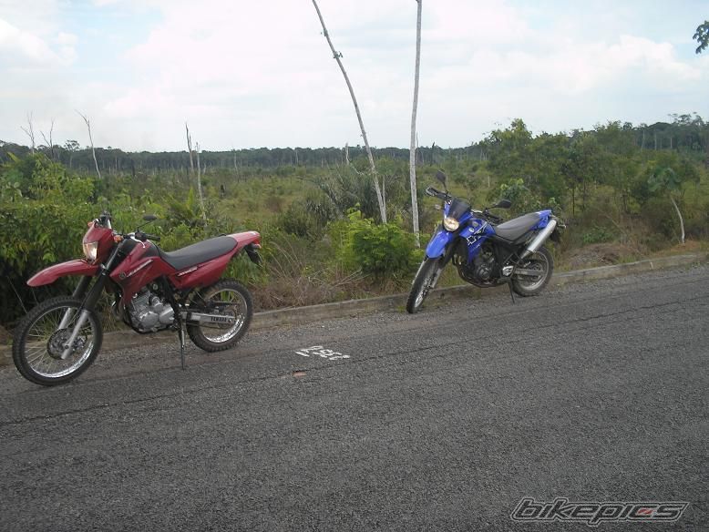 Photo 834479