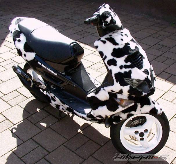 Bike Photo 83455