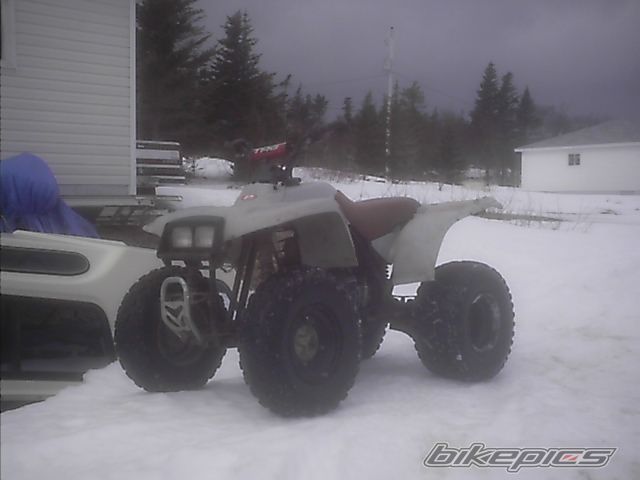 Photo 835067