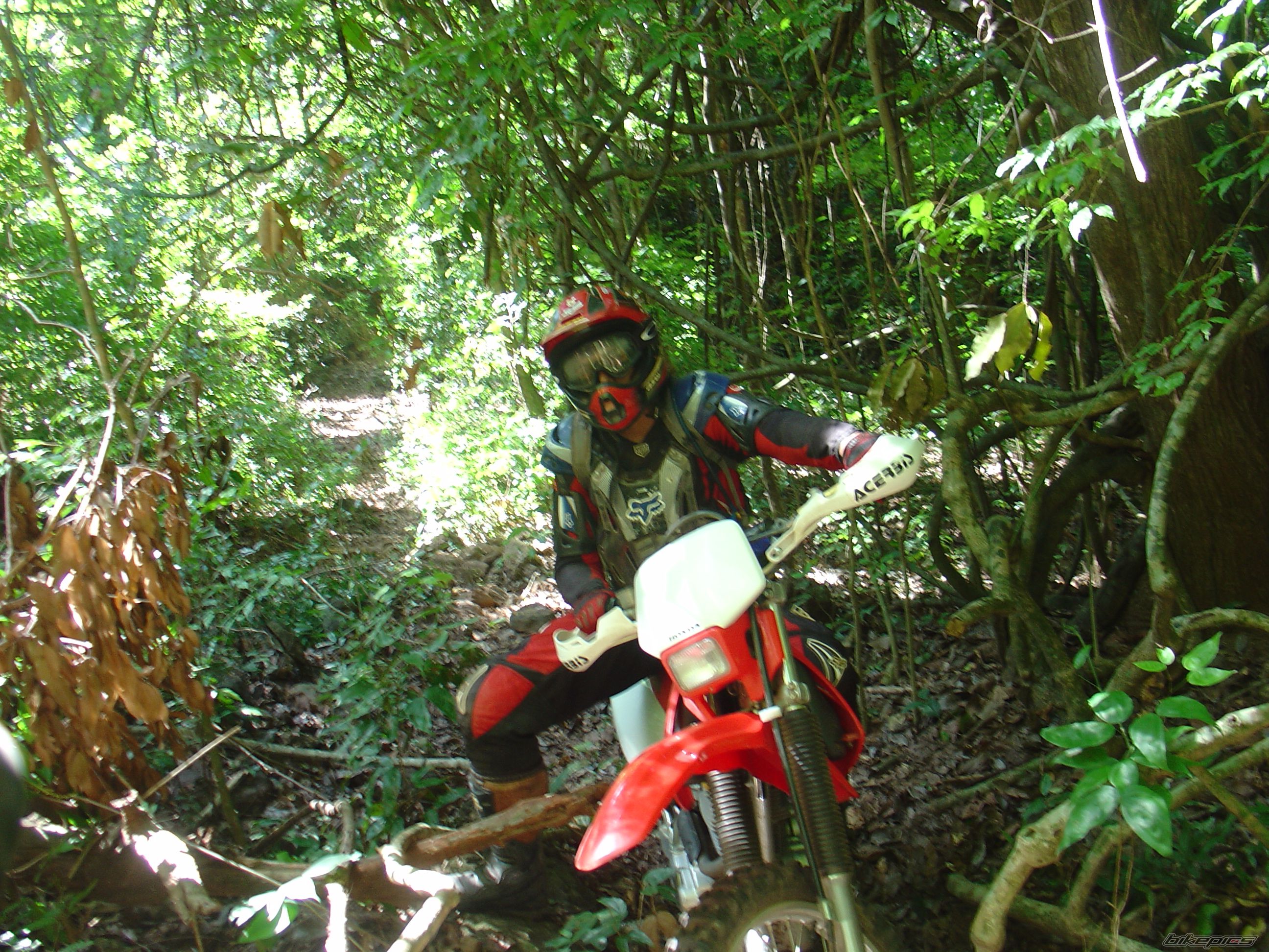 Bike Photo 835164